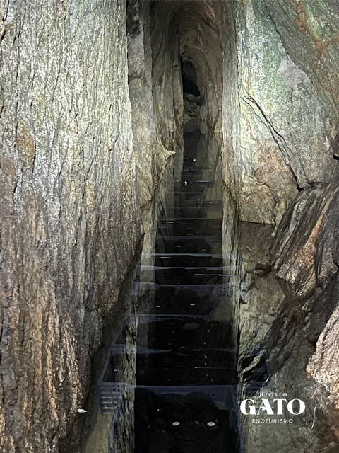 lugar do gato mina 2